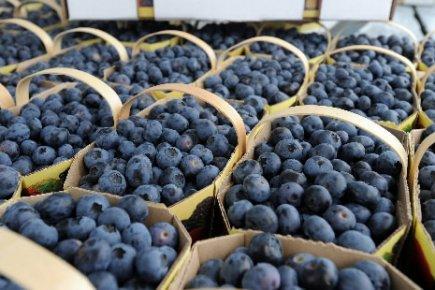 Le Gite Du Pecheur Metabetchouan-Lac-a-la-Croix Luaran gambar